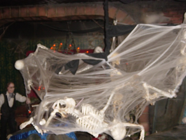 Europapark 2010 (36)