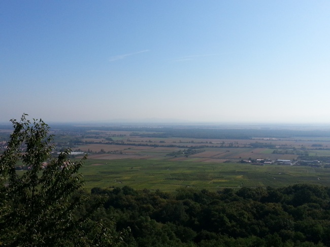 Randonnee_Pedestre_2015 (14)