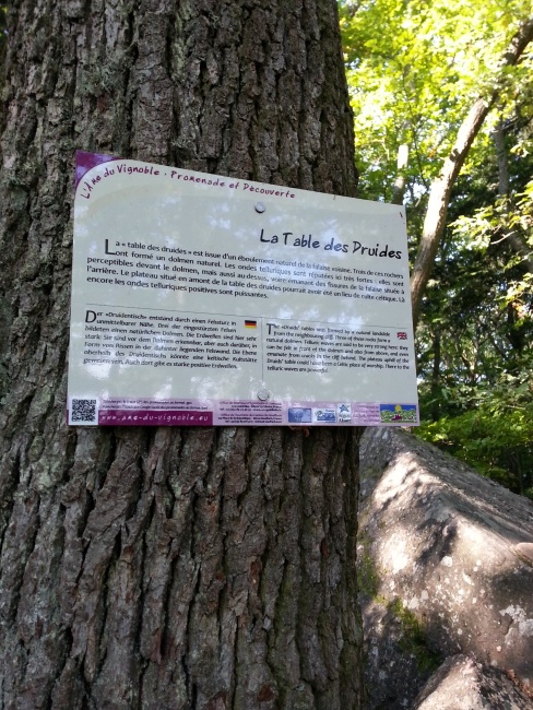 Randonnee_Pedestre_2015 (22)