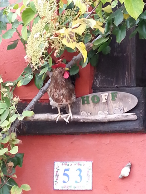 Randonnee_Pedestre_2015 (38)