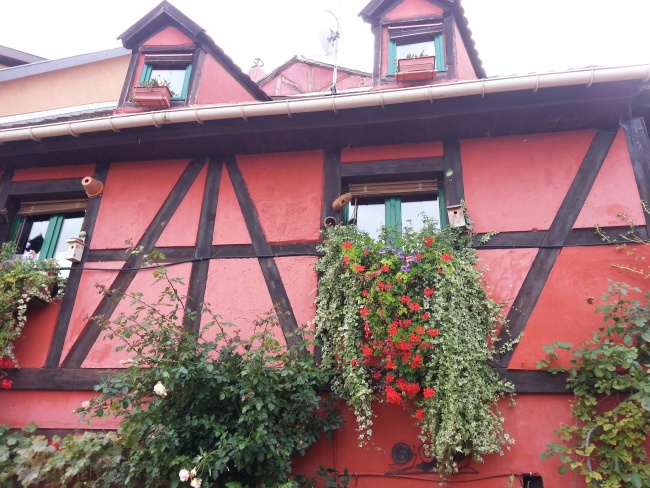 Randonnee_Pedestre_2015 (39)
