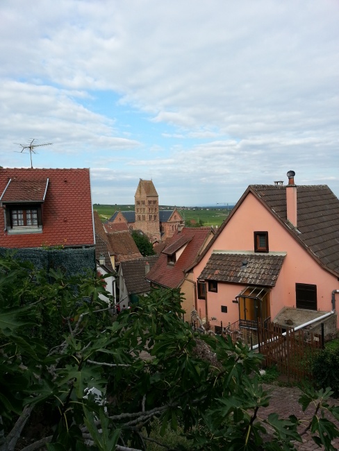 Randonnee_Pedestre_2015 (41)