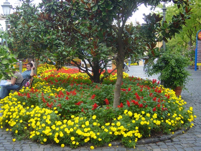 Europapark 2011 (5)