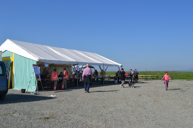 Marche populaire 2013 (113)