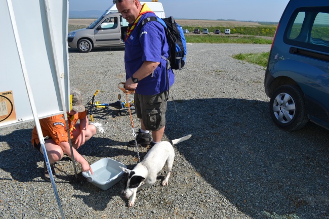 Marche populaire 2013 (147)
