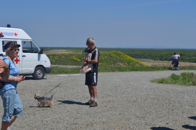 Marche populaire 2013 (24)