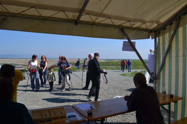 Marche populaire 2013 (3)