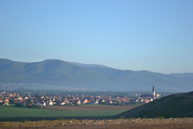 Marche populaire 2013 (30)