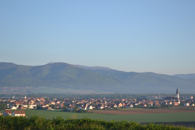 Marche populaire 2013 (35)